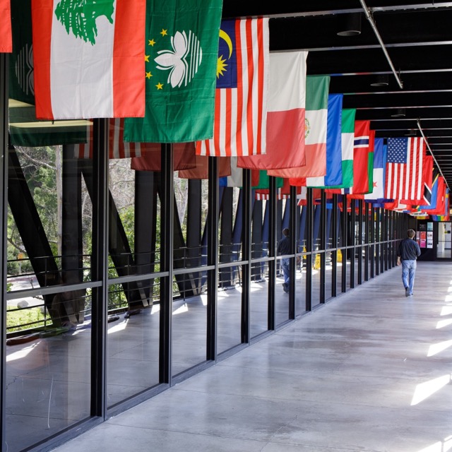 Student walking underneath a row of flags outside a building