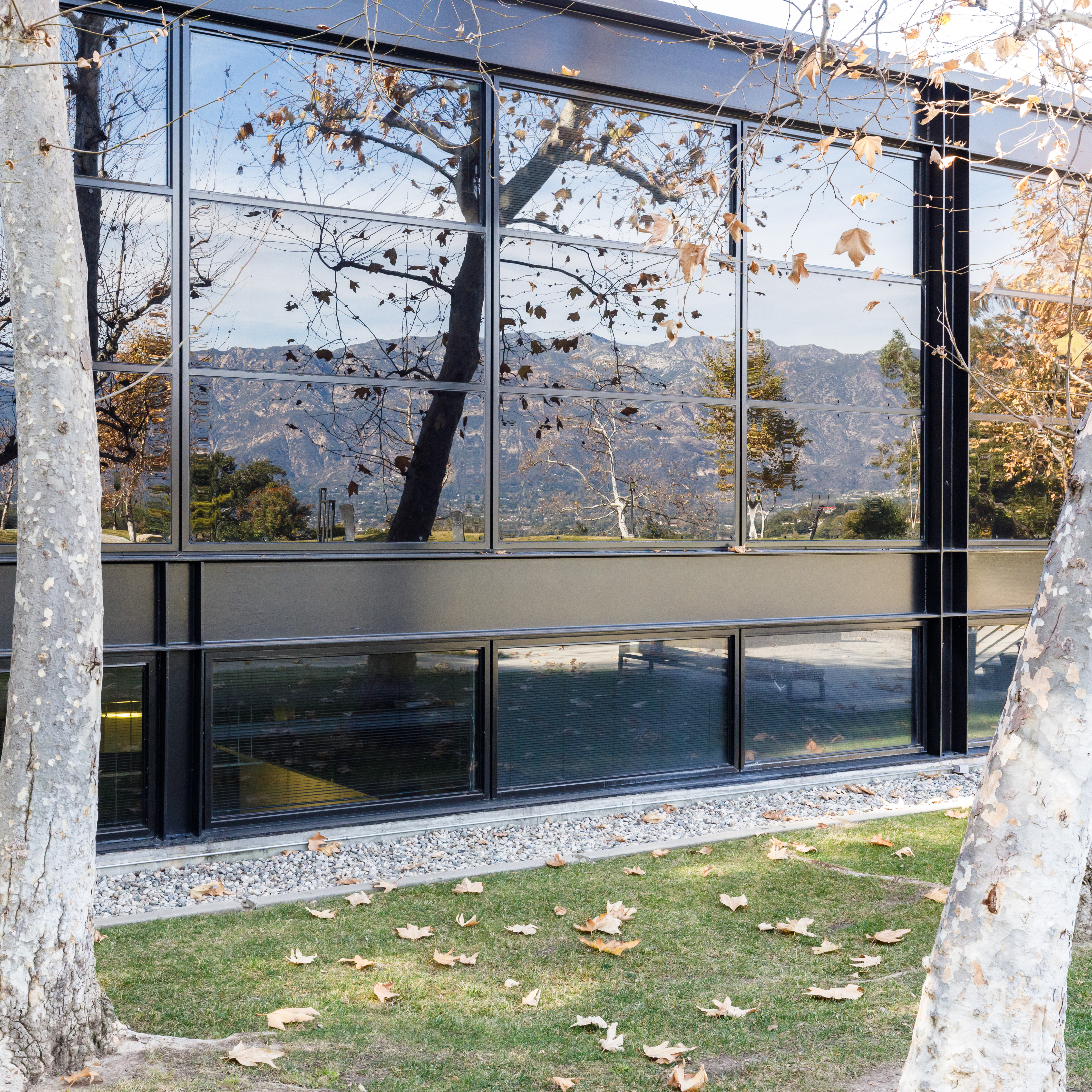 Trees reflected on building exterior