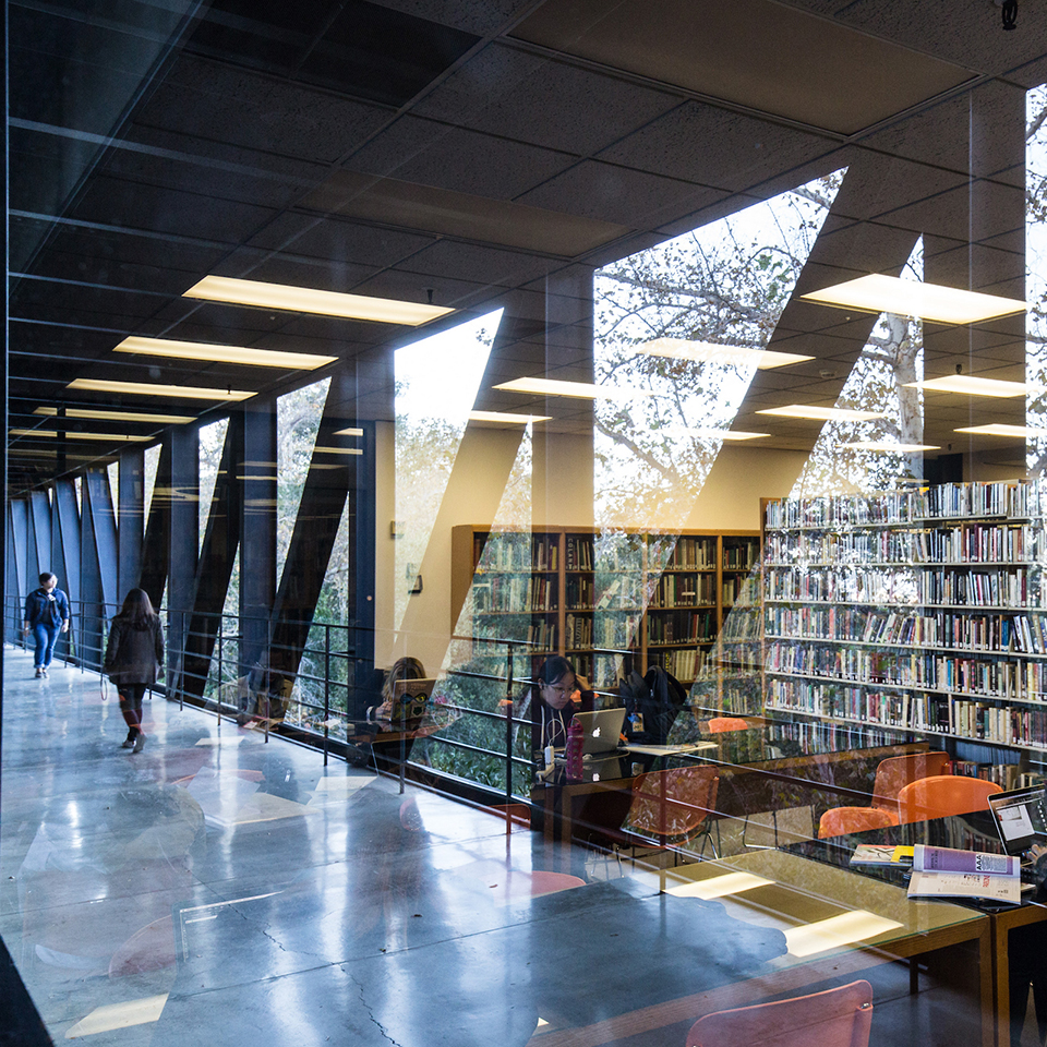 view reflected on library window